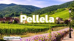 pellela